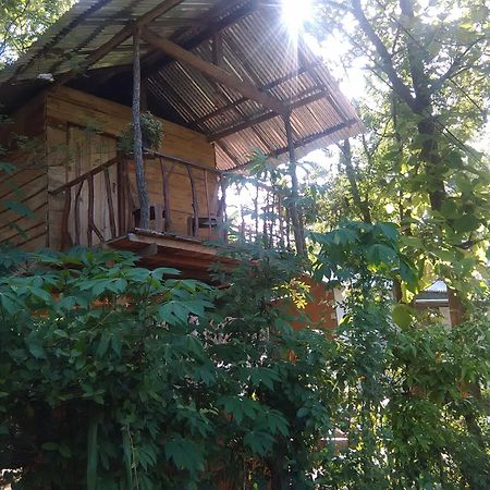 Apartamento Angry Birds Tree House Habarana Exterior foto
