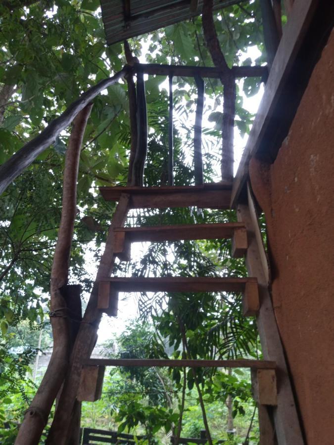 Apartamento Angry Birds Tree House Habarana Exterior foto