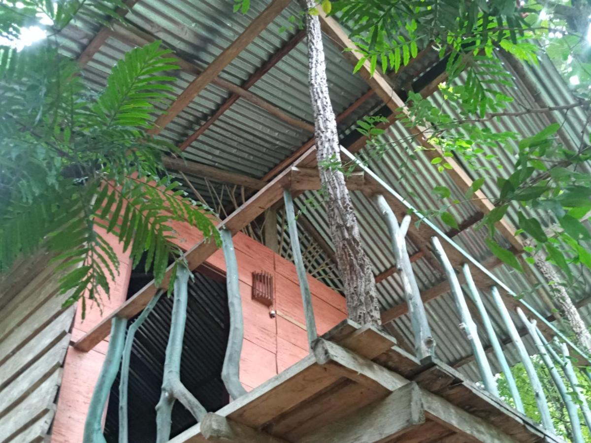 Apartamento Angry Birds Tree House Habarana Exterior foto
