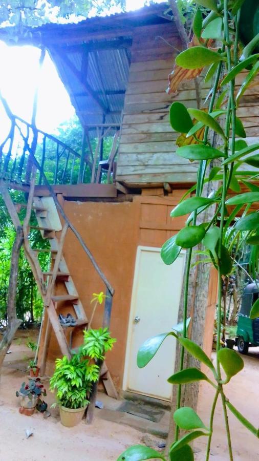Apartamento Angry Birds Tree House Habarana Exterior foto