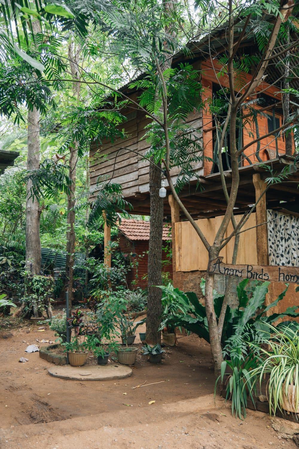 Apartamento Angry Birds Tree House Habarana Exterior foto
