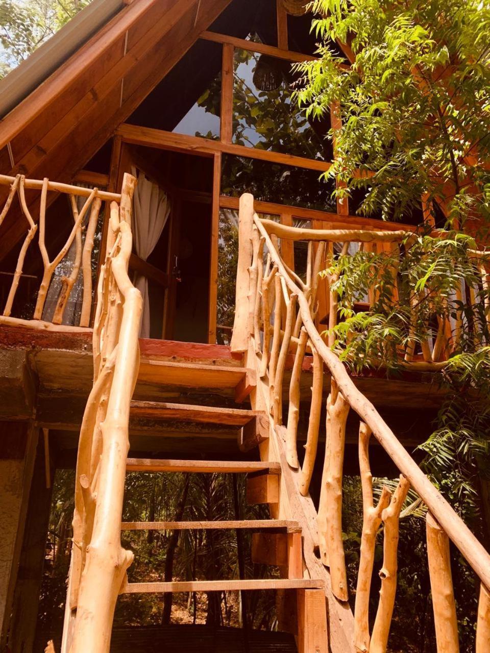 Apartamento Angry Birds Tree House Habarana Exterior foto