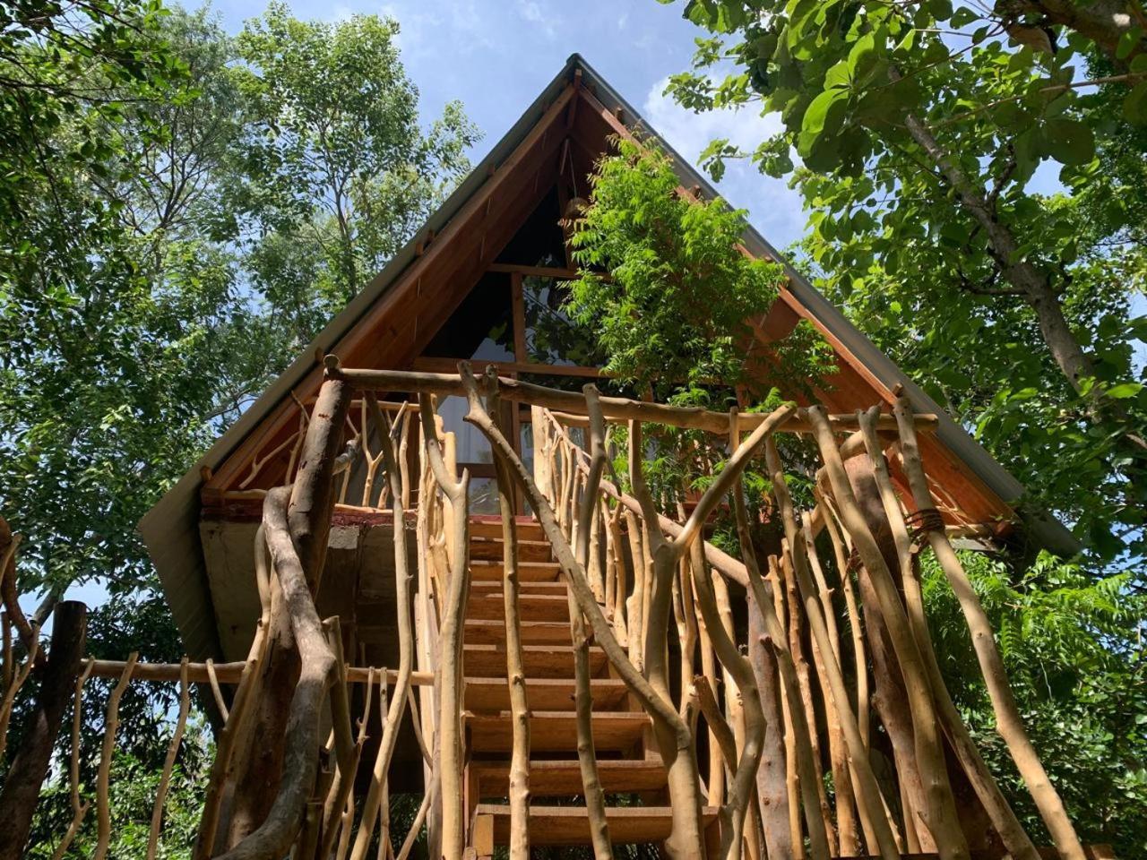 Apartamento Angry Birds Tree House Habarana Habitación foto