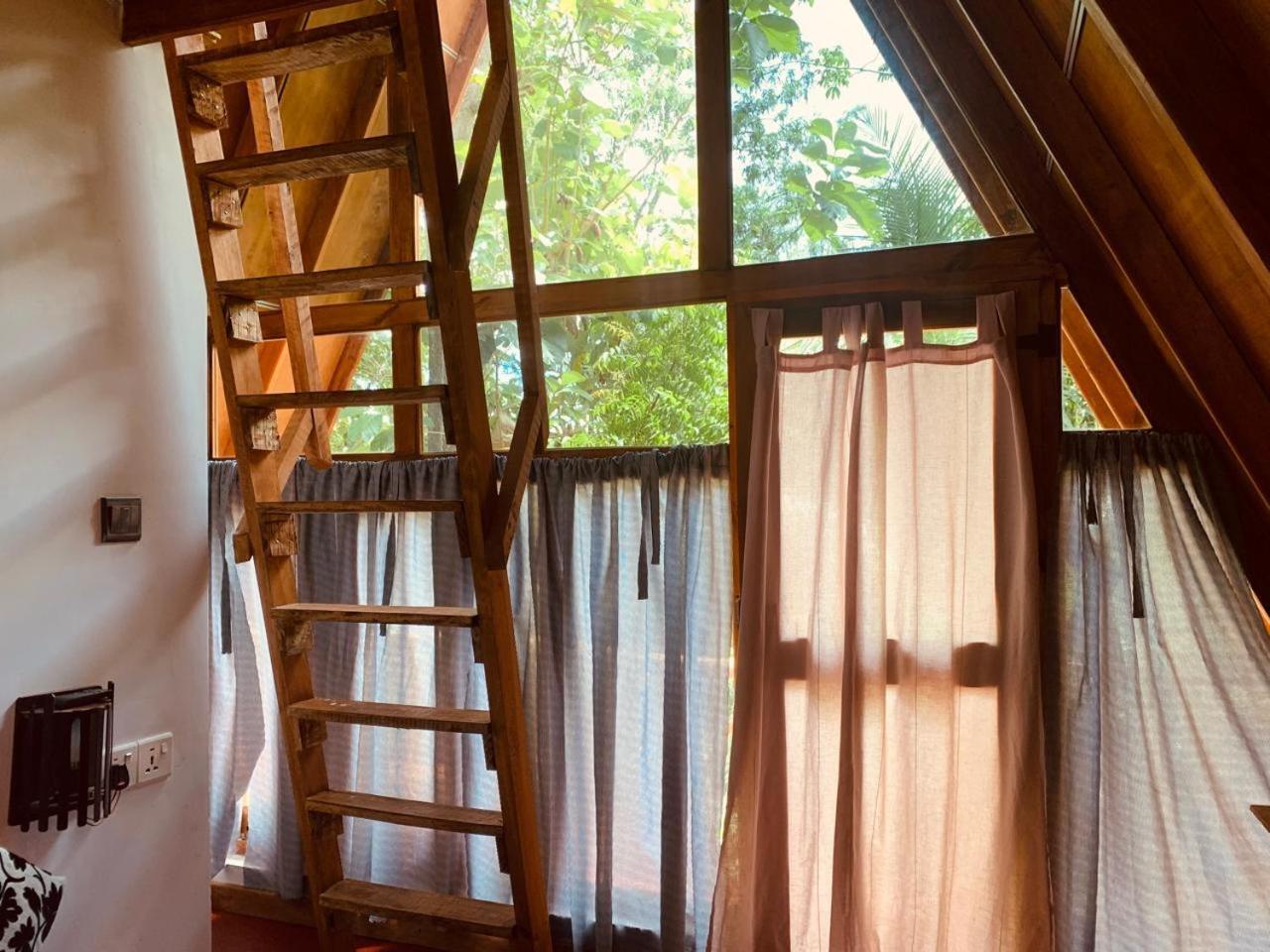 Apartamento Angry Birds Tree House Habarana Exterior foto