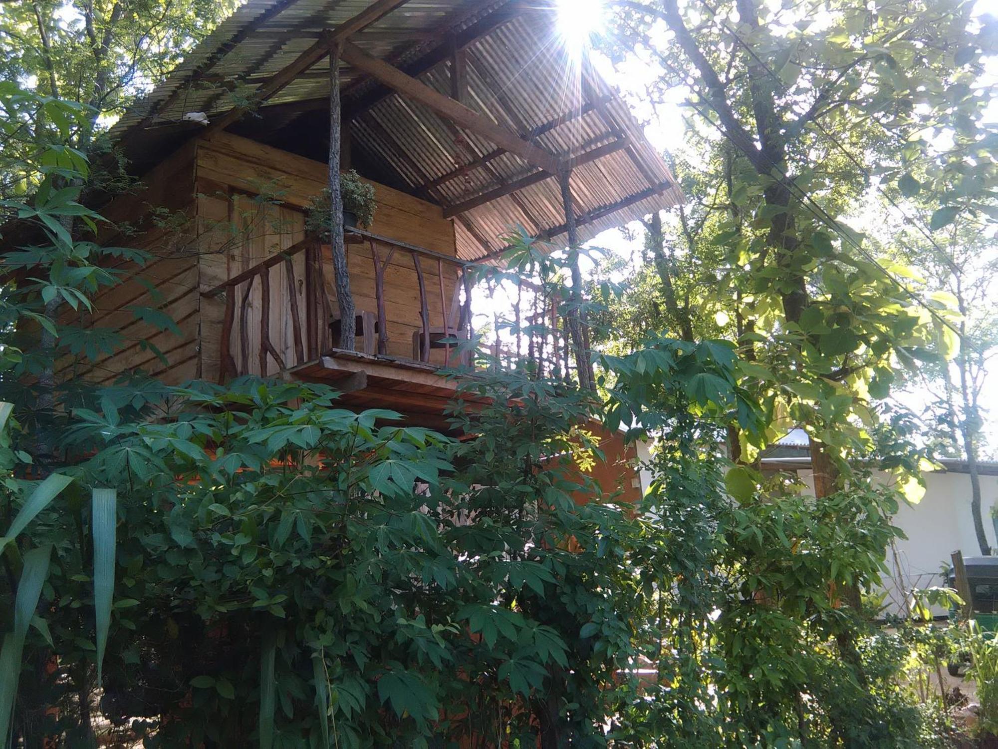 Apartamento Angry Birds Tree House Habarana Exterior foto