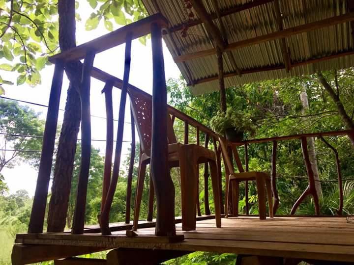 Apartamento Angry Birds Tree House Habarana Exterior foto