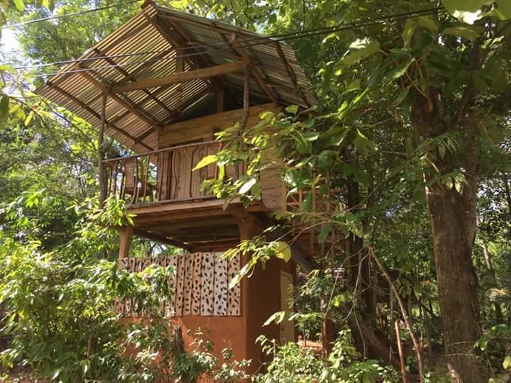 Apartamento Angry Birds Tree House Habarana Exterior foto