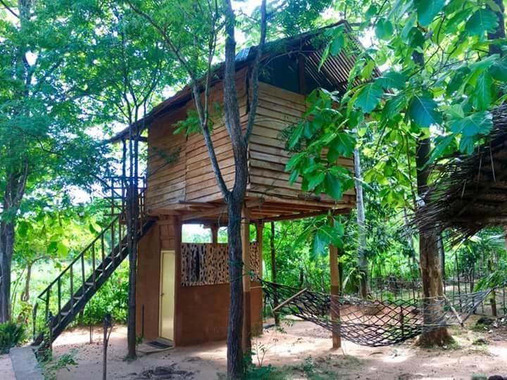 Apartamento Angry Birds Tree House Habarana Exterior foto