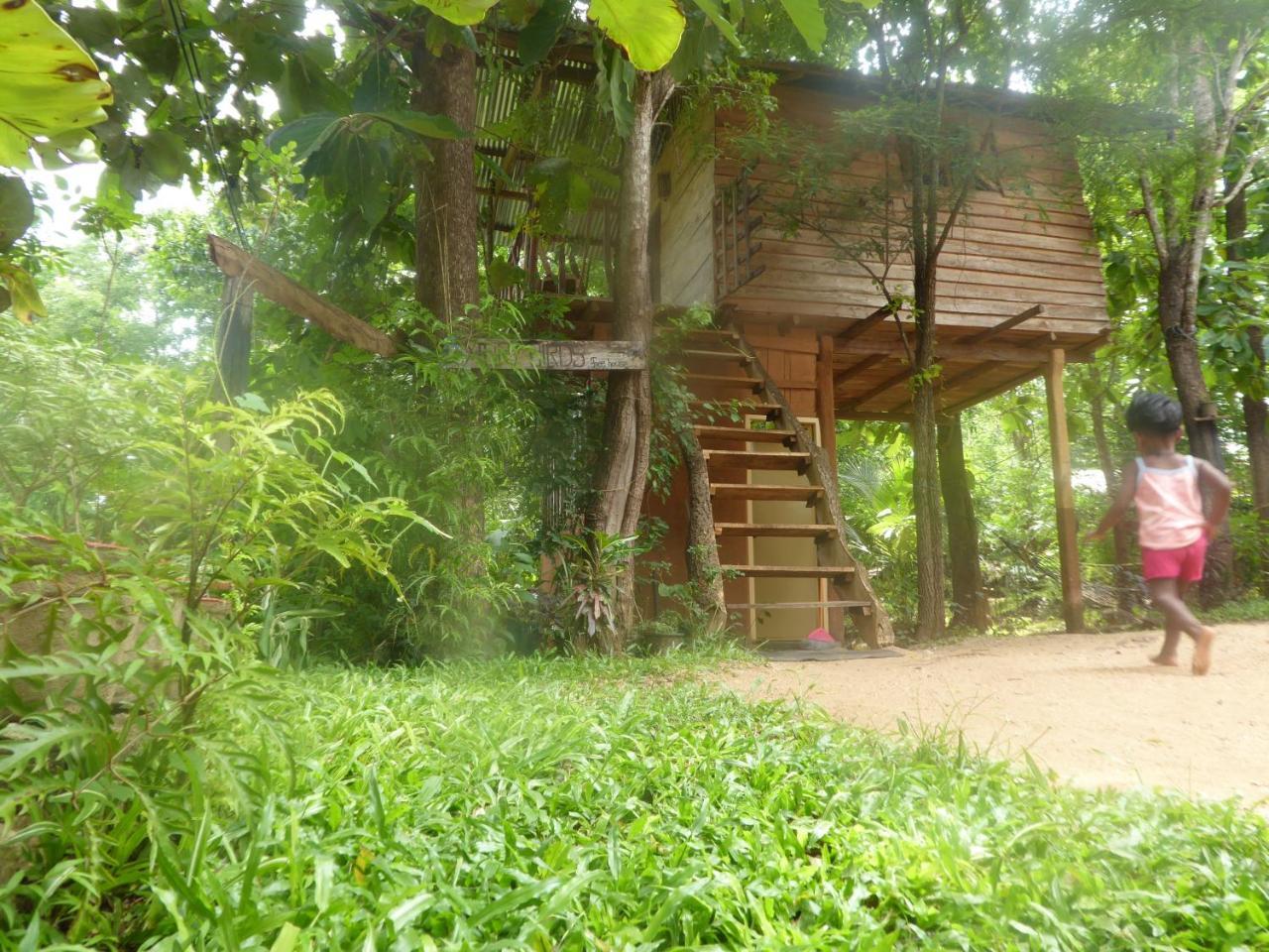 Apartamento Angry Birds Tree House Habarana Exterior foto