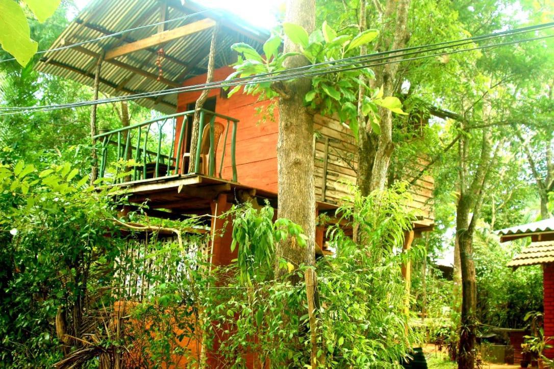 Apartamento Angry Birds Tree House Habarana Exterior foto